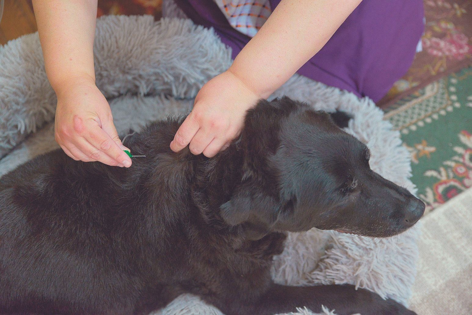 撮影／犬丸美絵