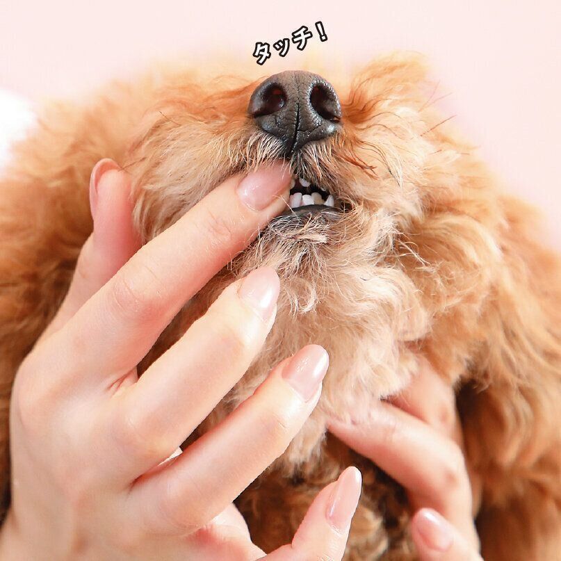 撮影／尾﨑たまき