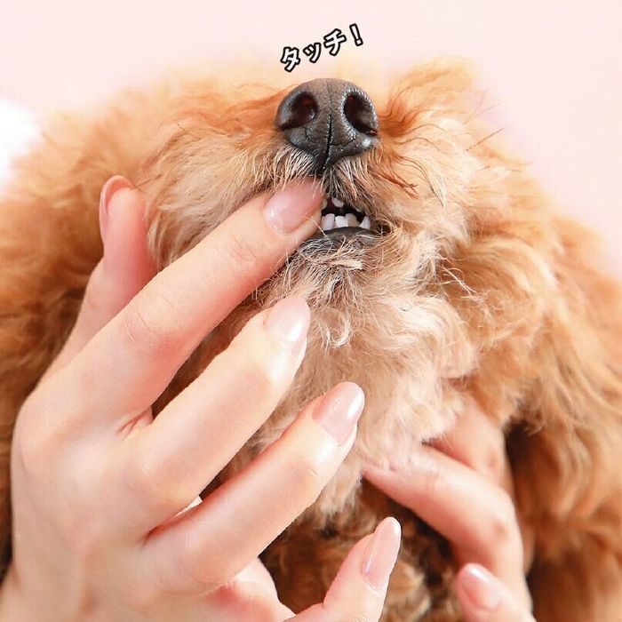 撮影/尾﨑たまき