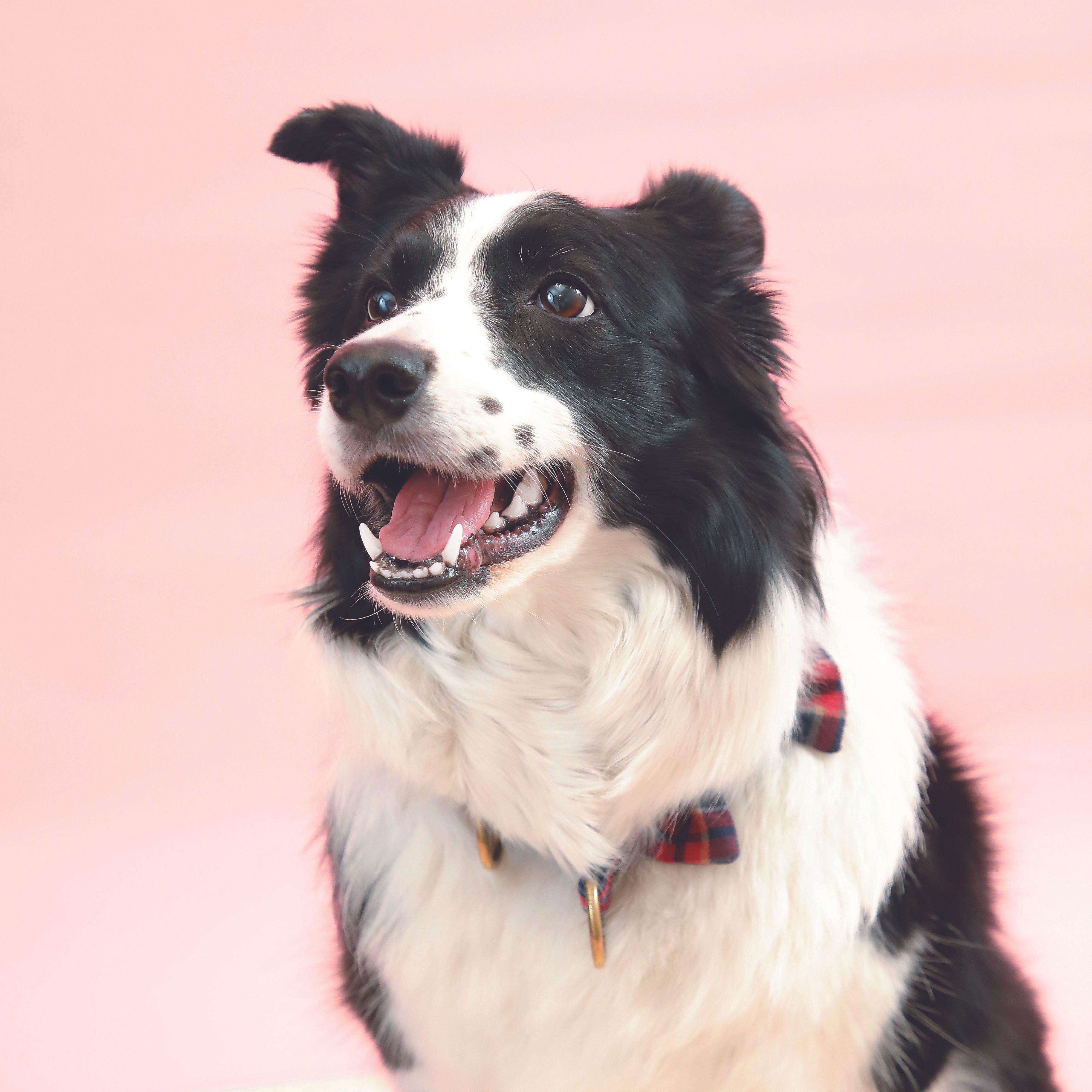 撮影／尾﨑たまき