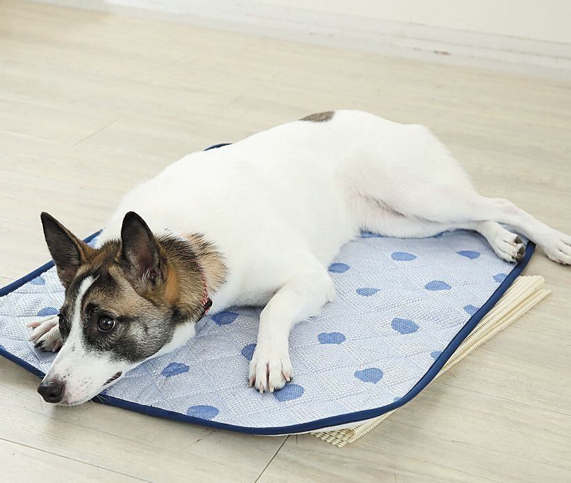 撮影／尾﨑たまき