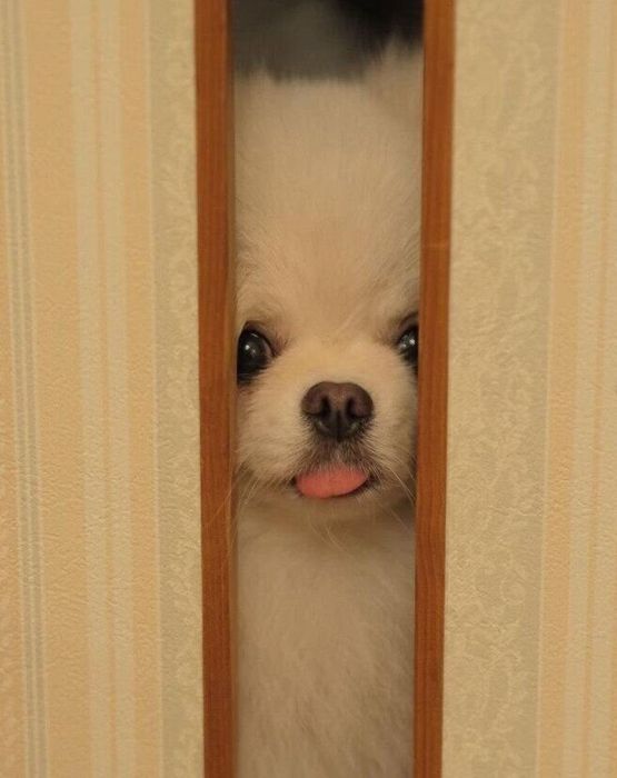 「ママ、ここにいるよ」の主張