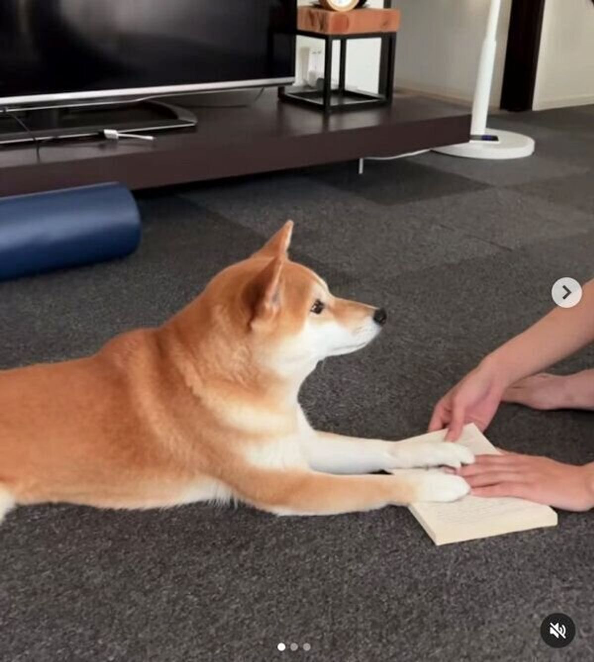 Iahxfz3baqlk1m Iahxfz3baqlk1m