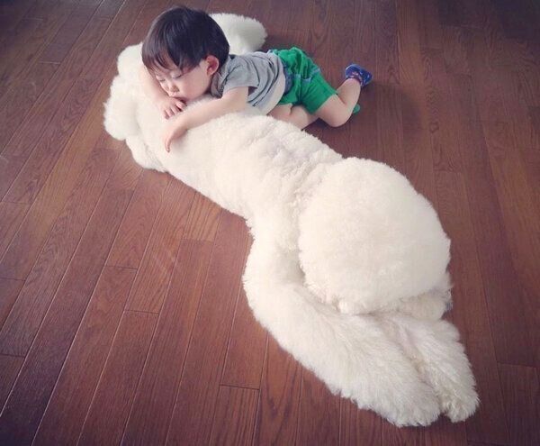 りっくんに寄り添って眠るむぎくん