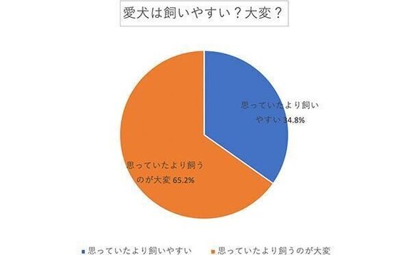 愛犬は飼いやすい? 大変?