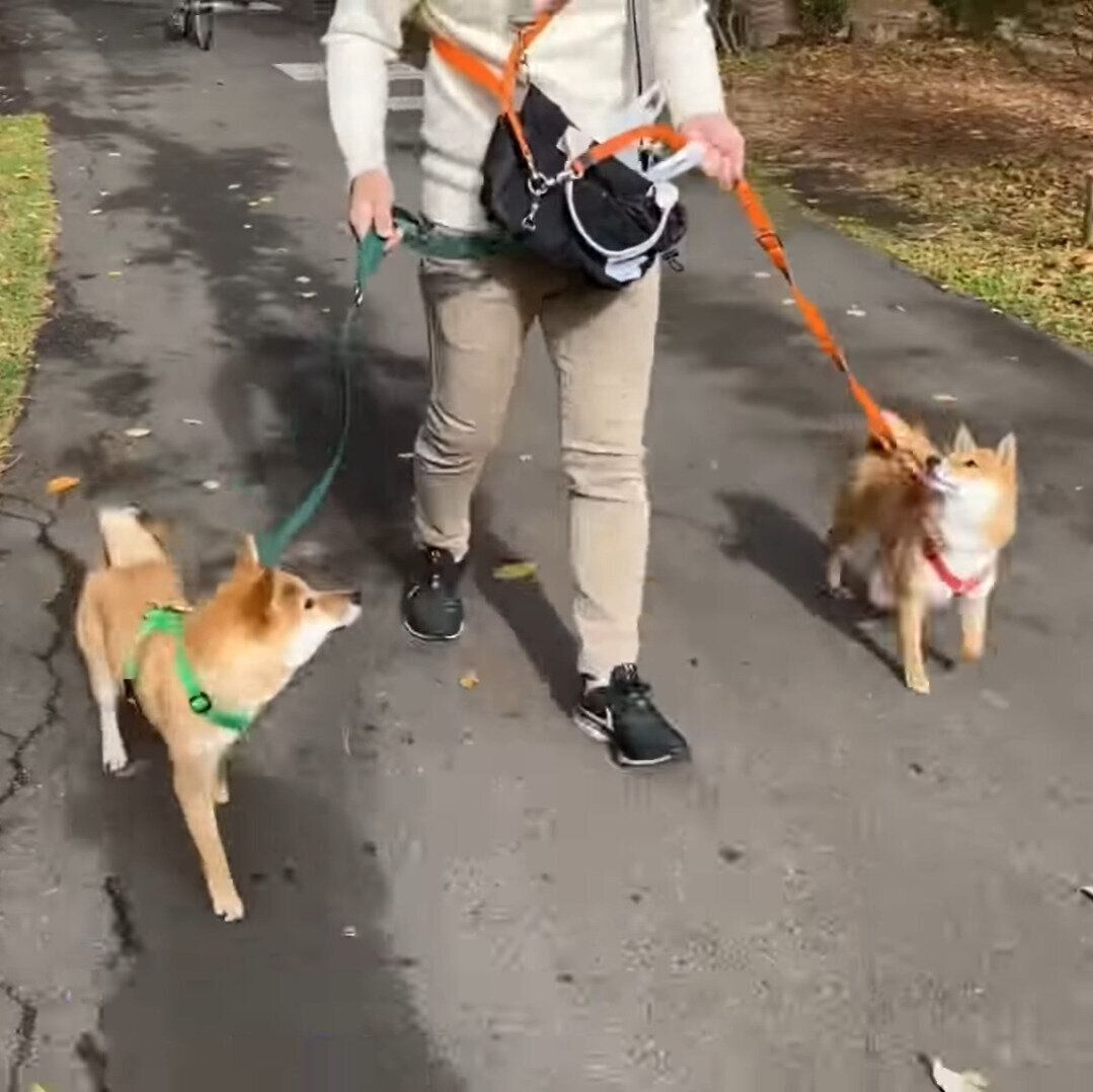 パパを見る福ちゃんと富くん