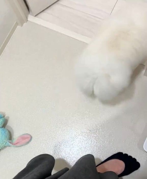 洗面所から立ち去るゆきみちゃん