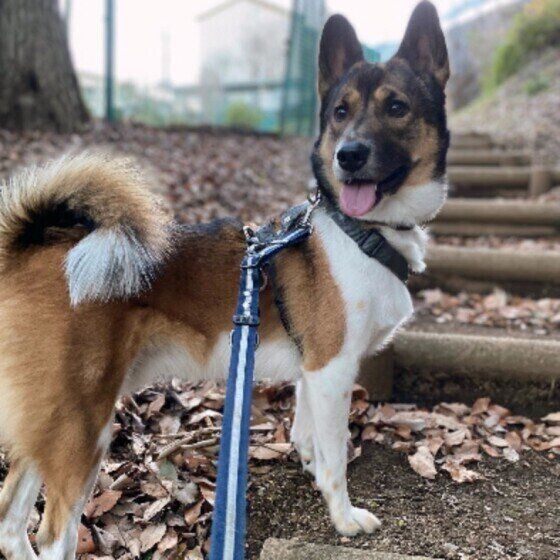 待っているウニちゃん