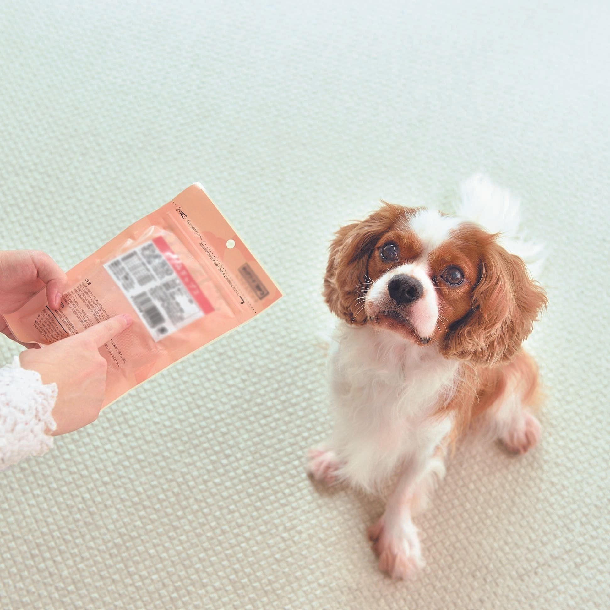 撮影／佐藤正之