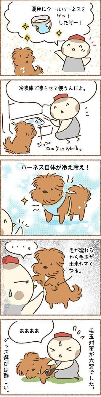 【連載】こぐま犬てんすけ