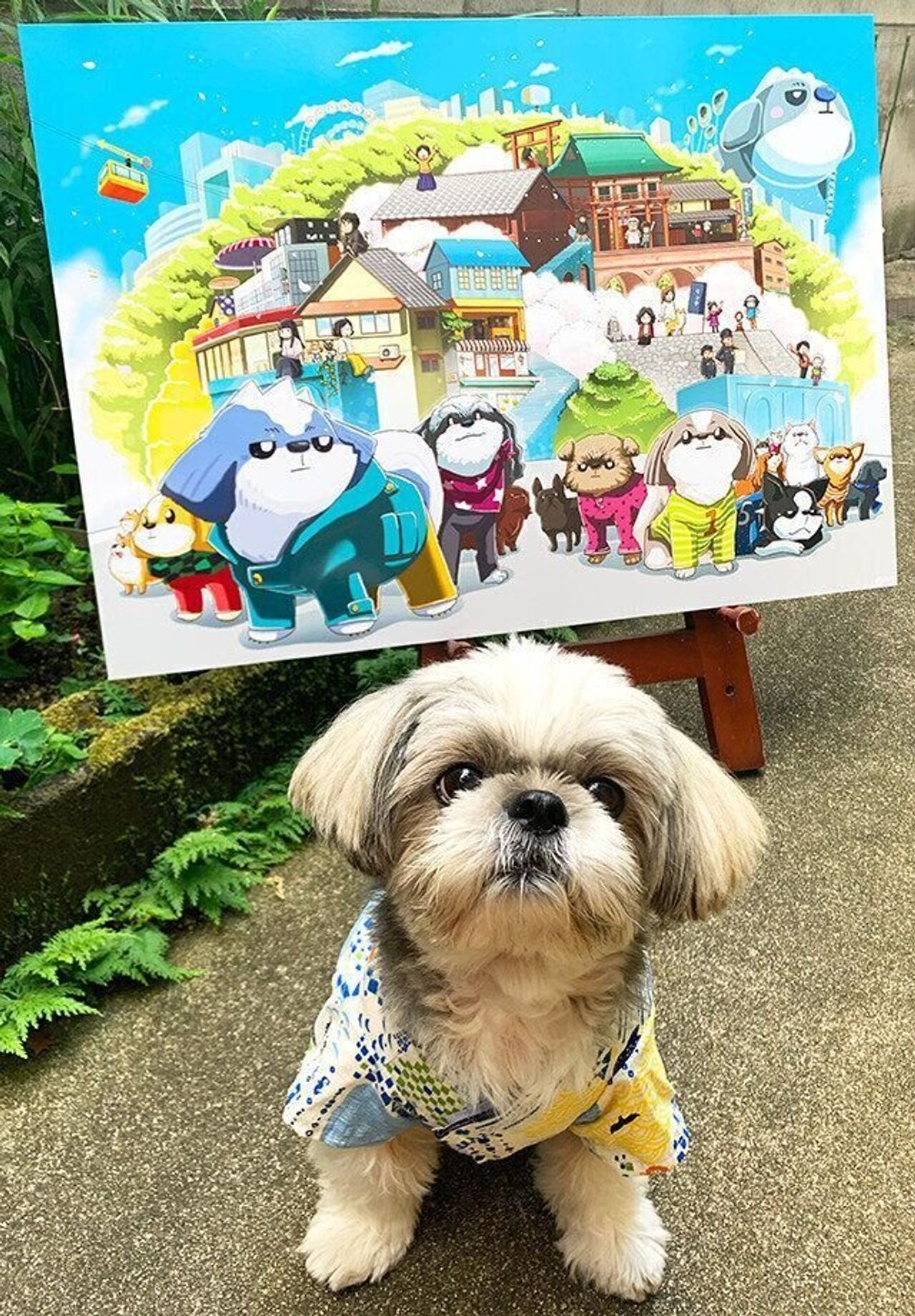 世界一かわいい犬 連載 シーズー犬のてんぽ 犬の日特別連載 いぬのきもちweb Magazine 世界一かわいい犬 連載 シーズー犬のてんぽ 犬の日特別連載 いぬのきもちweb Magazine