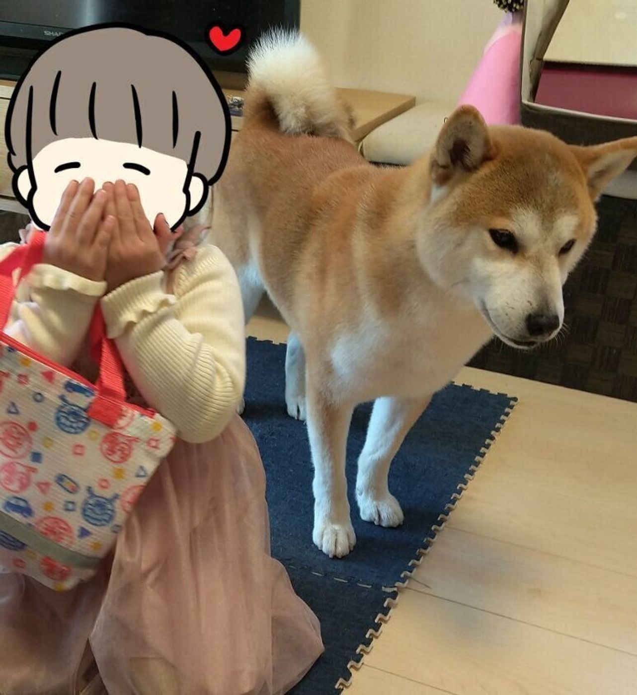 トリミングしても変わらないなんて言わせない ビフォーアフターで柴犬タロさんの激変したあの部分 連載 モフモフ柴とプニプニ娘 第106話 いぬのきもちweb Magazine トリミングしても変わらないなんて言わせない ビフォーアフターで柴犬タロさんの激変したあの部分 連載 モフモフ柴とプニプニ娘 第106話 いぬのきもちweb Magazine