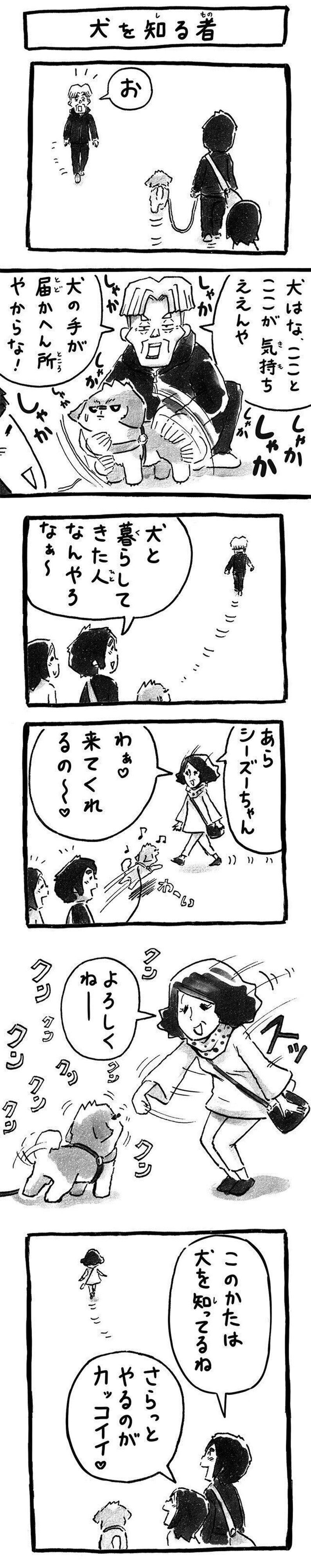犬を知るものの行動は まさに 分かっている 連載 シーズー犬のてんぽ 第148回 いぬのきもちweb Magazine 犬を知るものの行動は まさに 分かっている 連載 シーズー犬のてんぽ 第148回 いぬのきもちweb Magazine