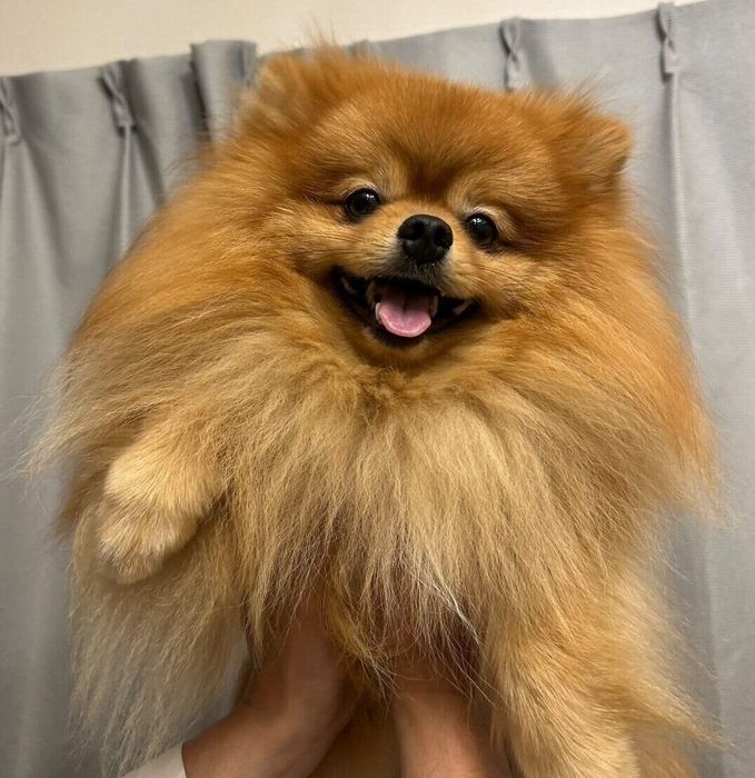 1才になったまろくん