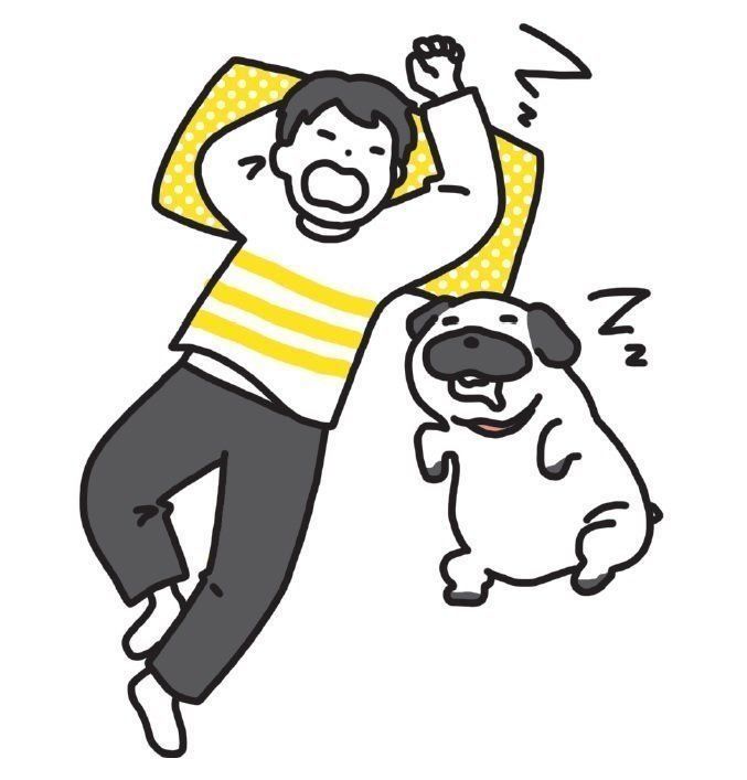 イラスト／北構まゆ