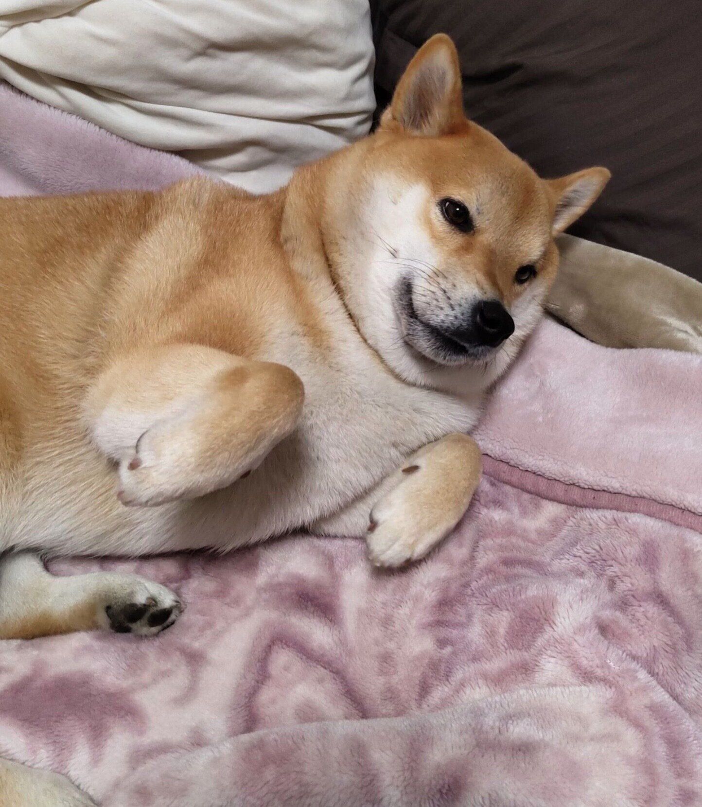 寝転がる太郎くん