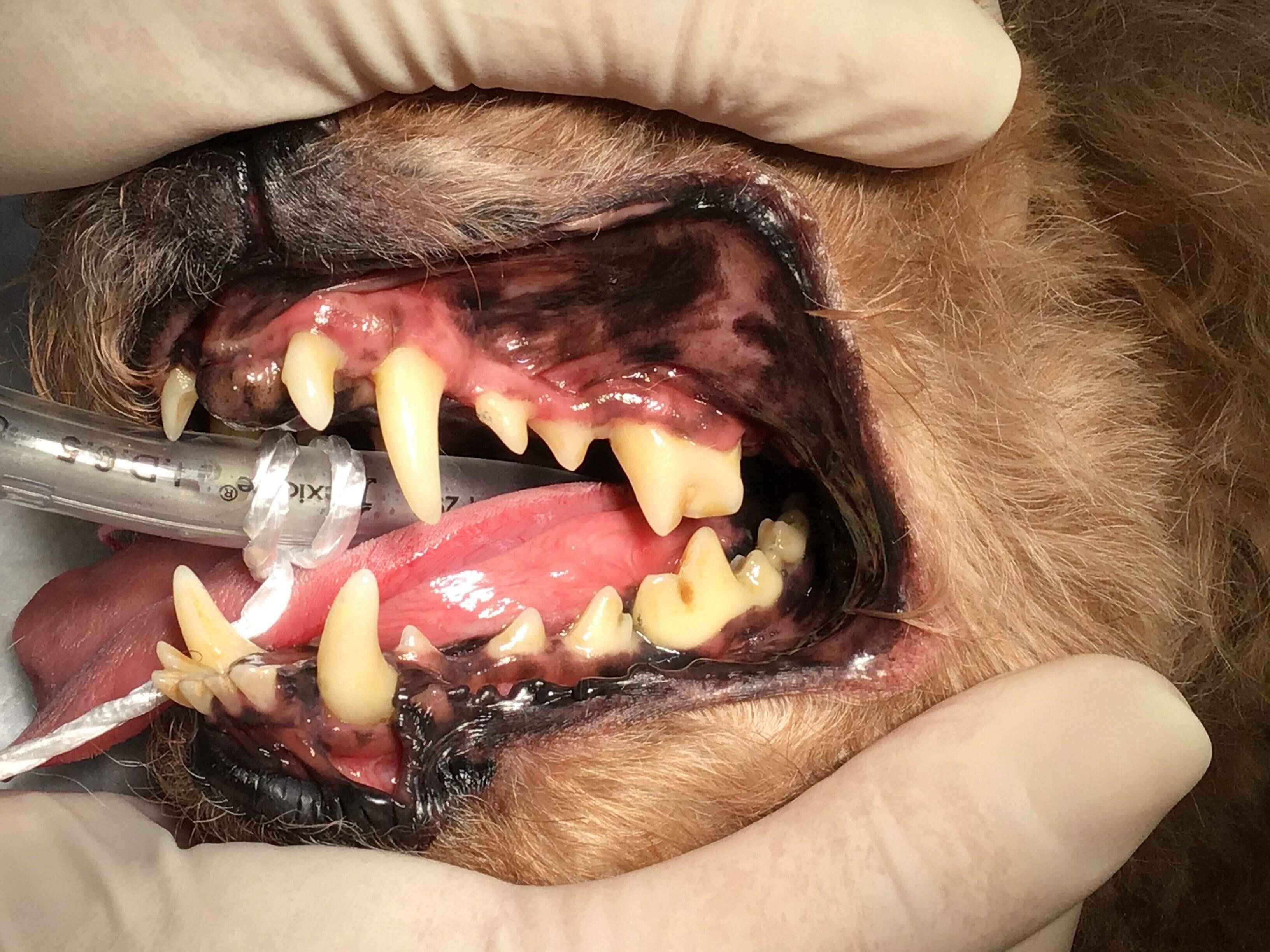 写真提供／石田陽子先生