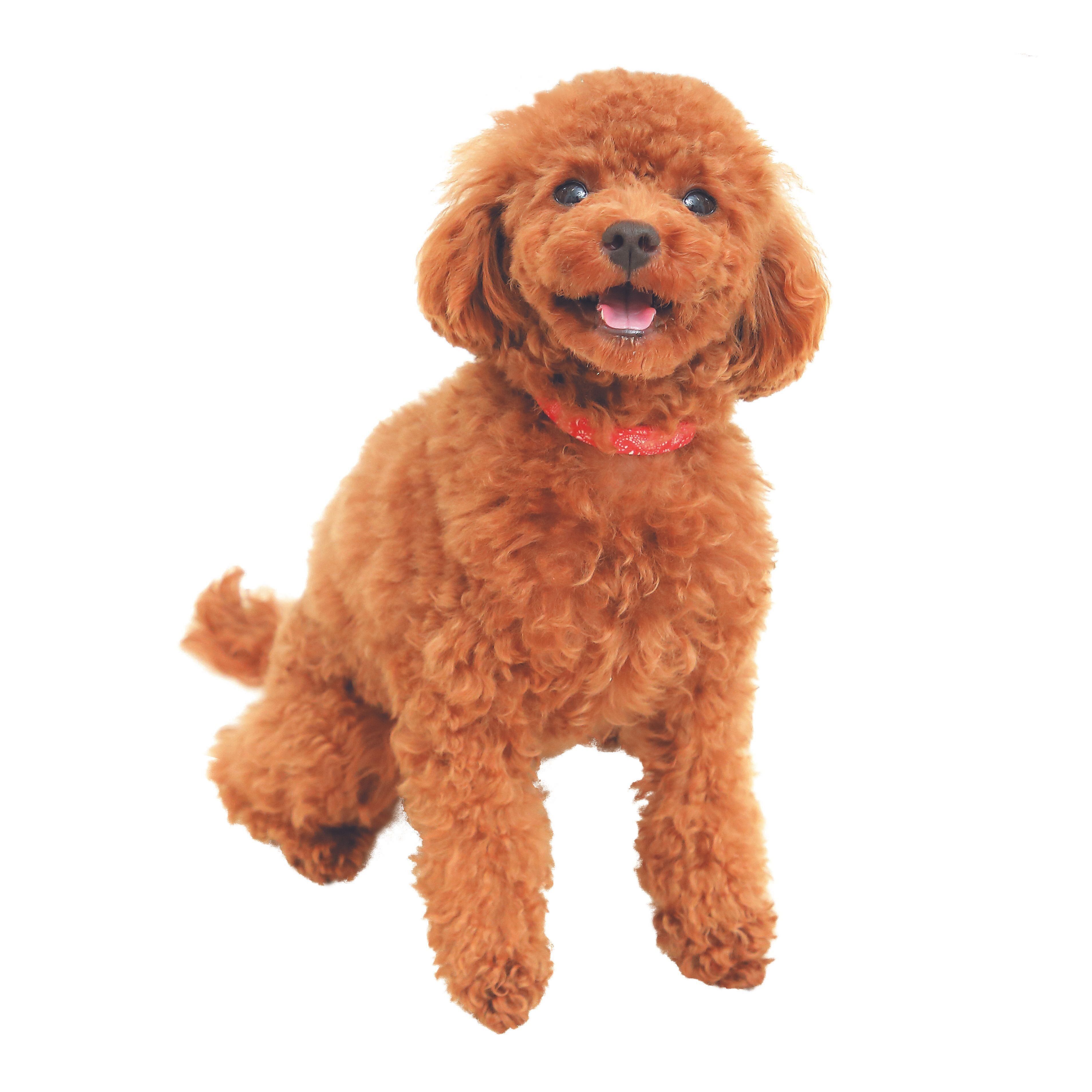 撮影／尾﨑たまき