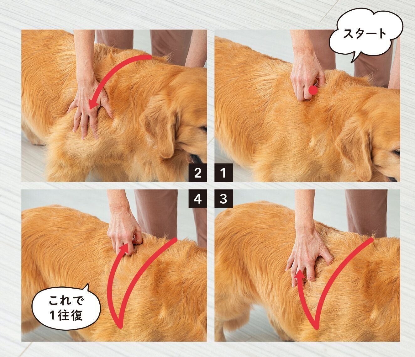 撮影／尾﨑たまき