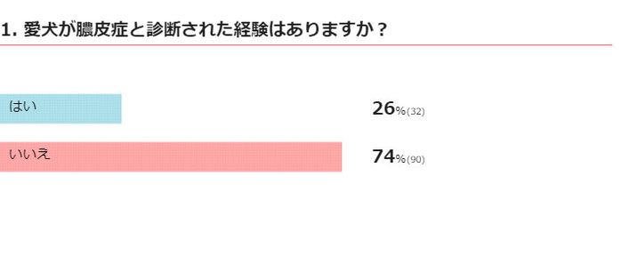 犬の膿皮症 診断された経験
