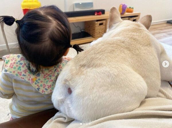 飼い主さんに甘えるひまわりちゃん