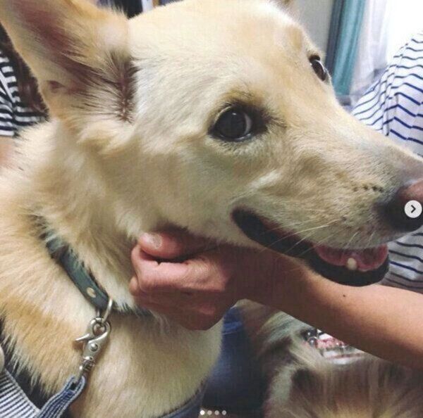 笑顔のくるりちゃん