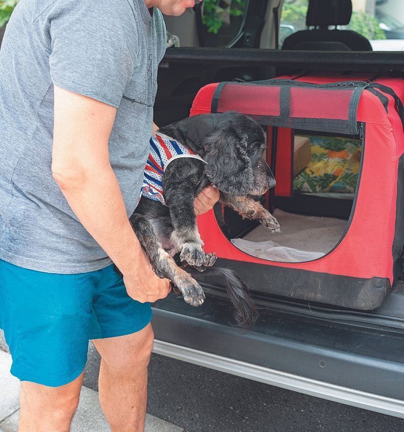 撮影／田尻光久