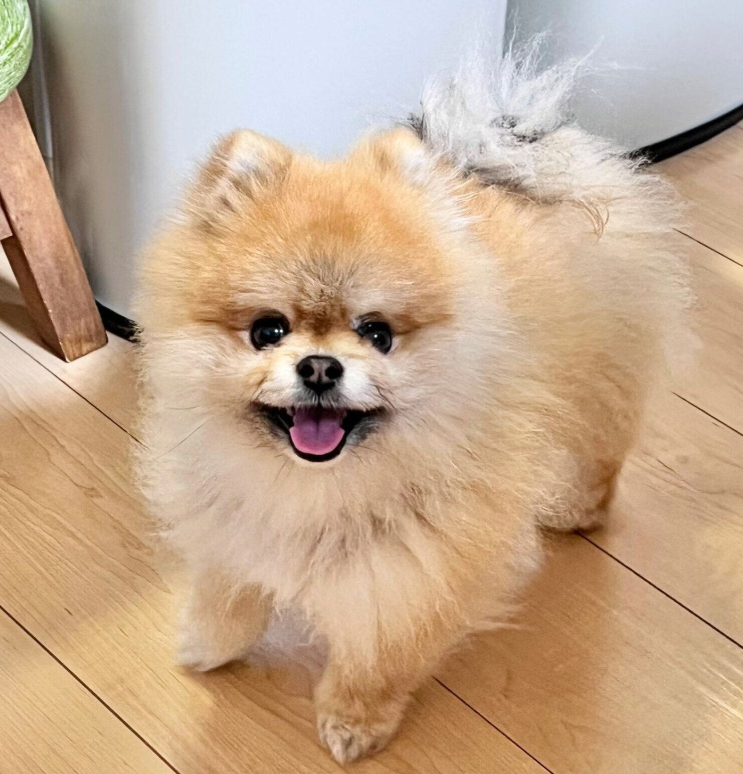 笑顔が可愛い秋田くん