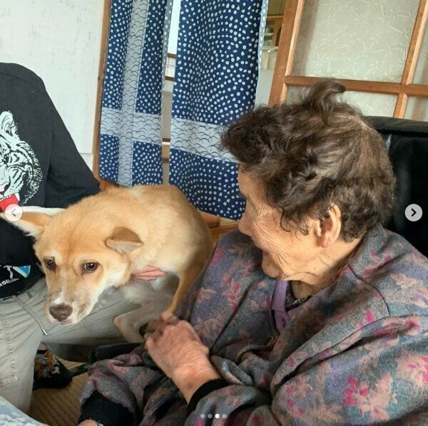 ハチちゃんとおばあちゃん