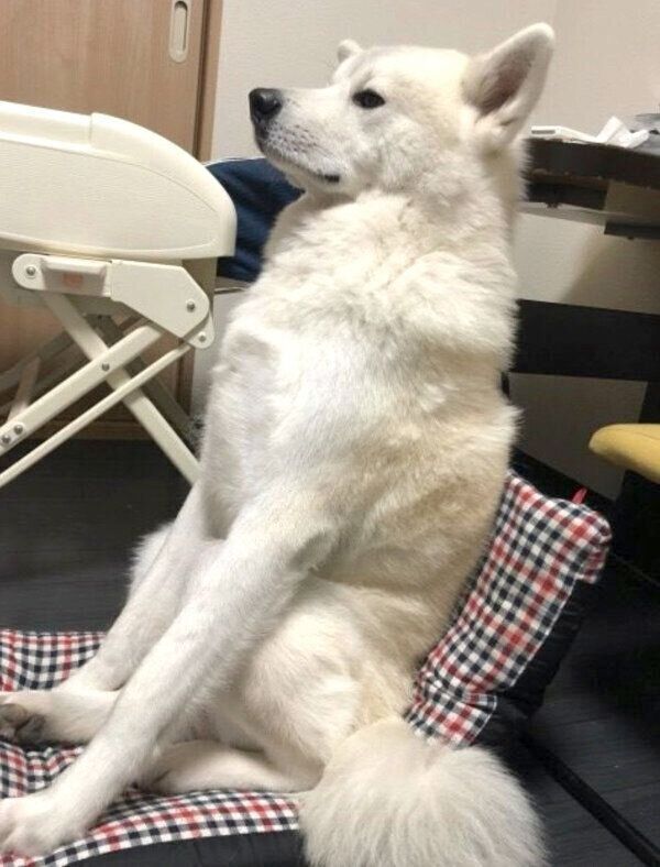 座椅子に座る凛太郎くん