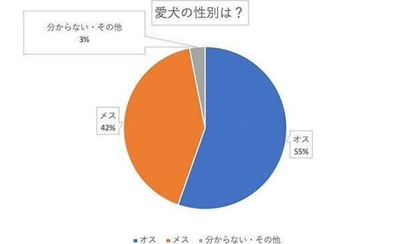 愛犬の性別は？