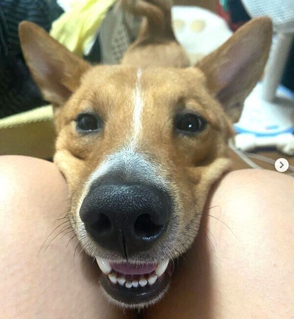 甘える凛太郎くん