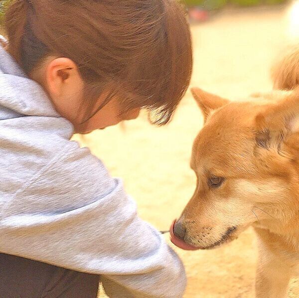 長女と見つめ合う福くん