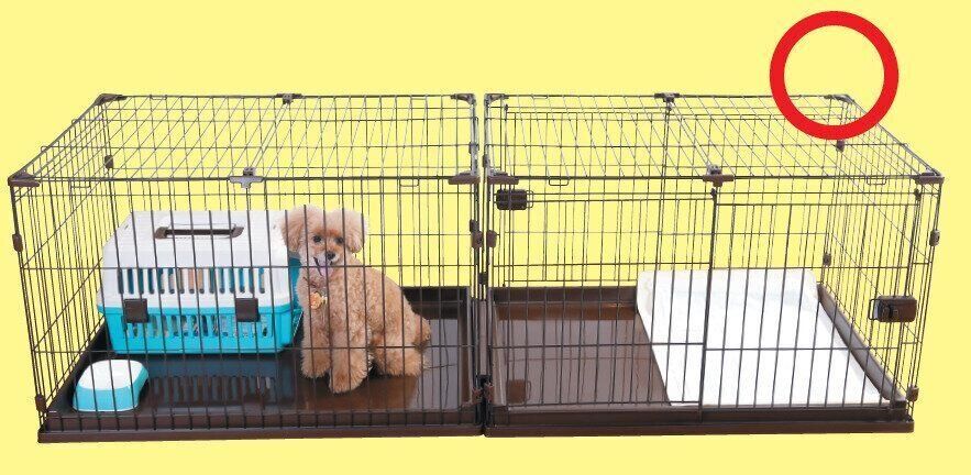 撮影／尾﨑たまき