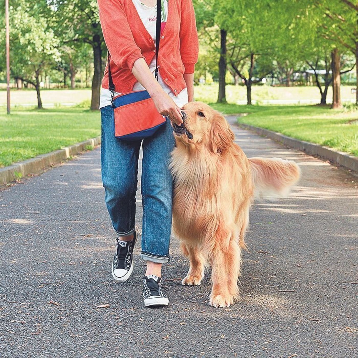 リードを引っ張る 相手へ飛びつく 散歩中の 困った はリードの持ち方で解決 いぬのきもちweb Magazine リードを引っ張る 相手へ飛びつく 散歩中の 困った はリードの持ち方で解決 いぬのきもちweb Magazine