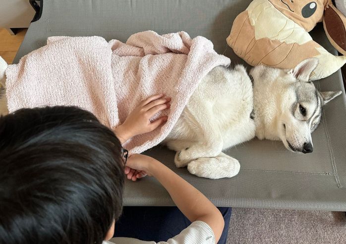 サムくんにブランケットをかけてあげる息子さん