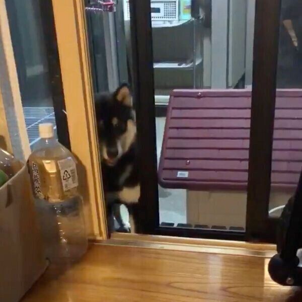 引っ込むまめすけくん