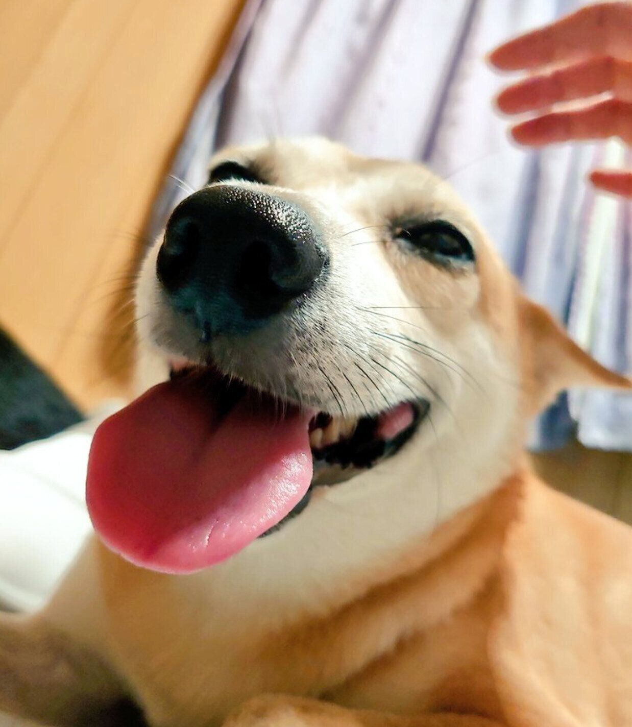 笑顔が可愛いアキラくん