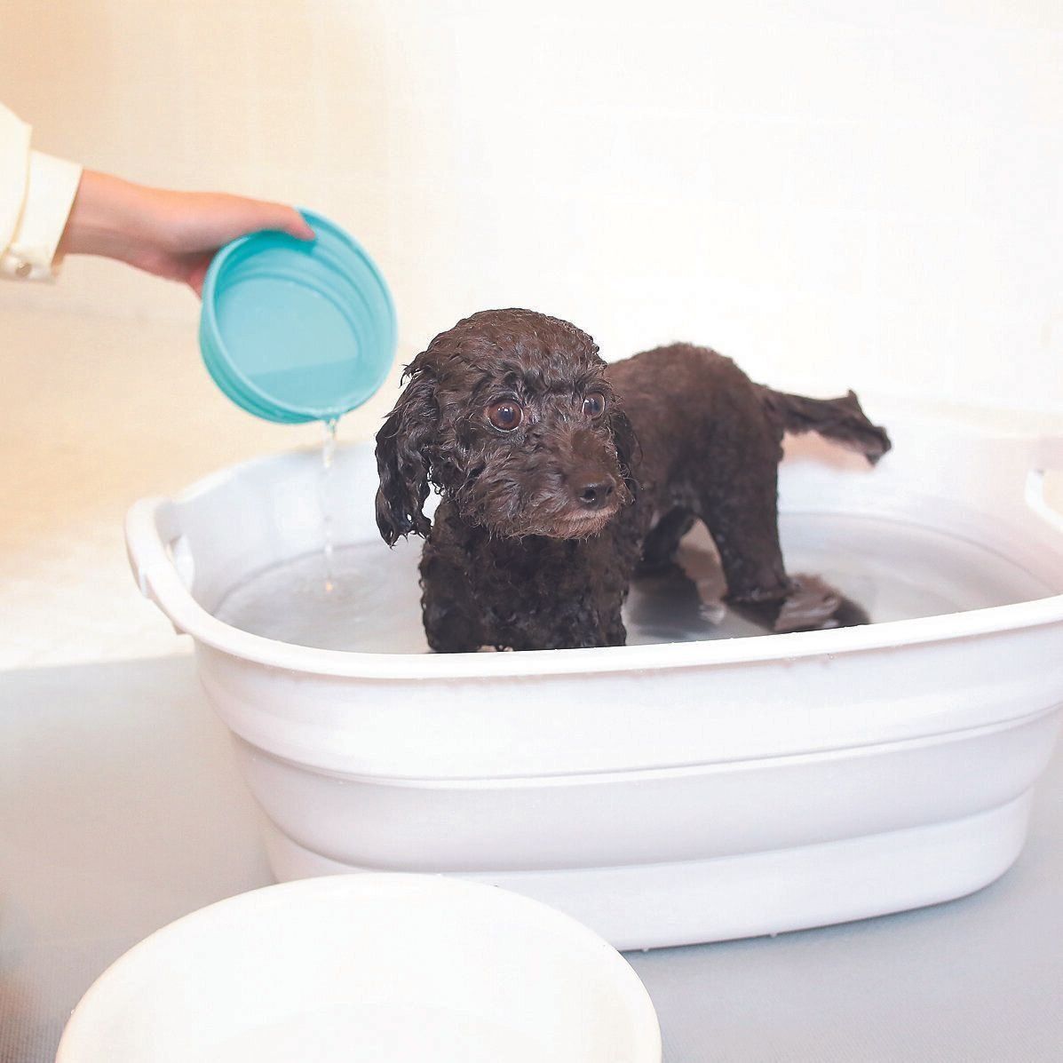 撮影／尾﨑たまき