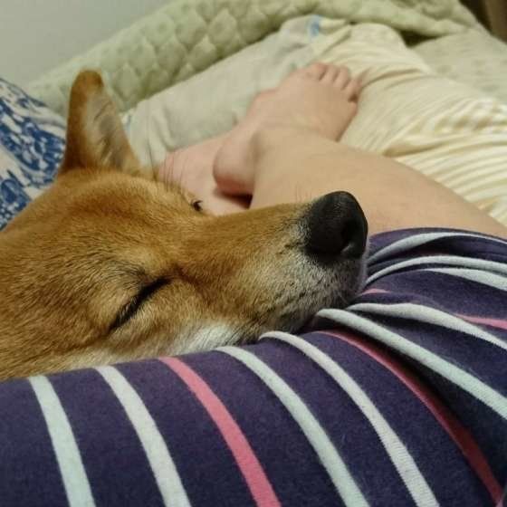 幸せそうな小太郎くん