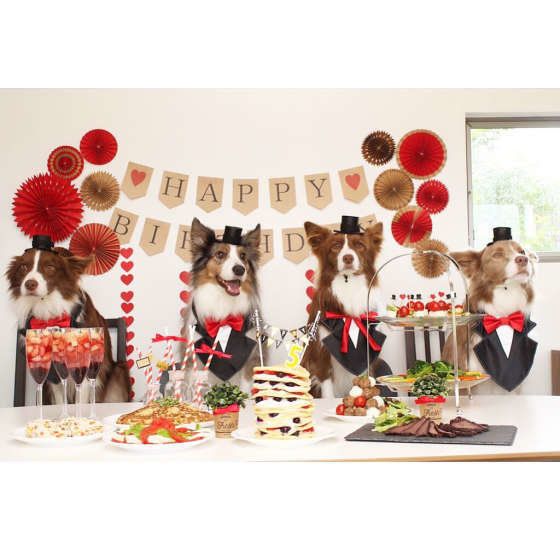 お誕生日パーティー