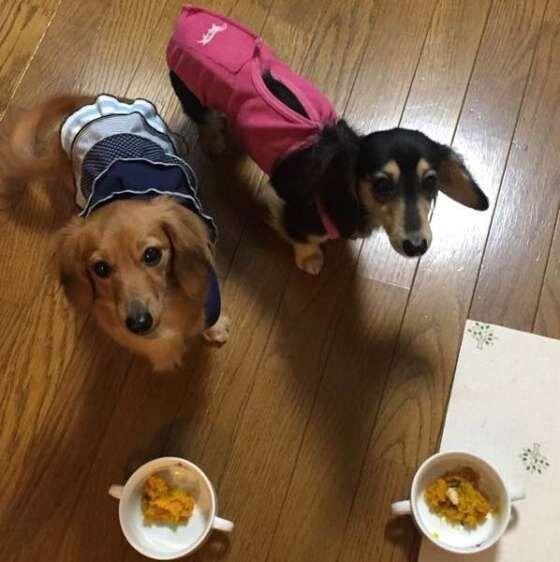 かぼちゃ大好き♪