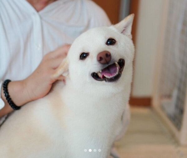 おばあちゃんに甘えるまめたちゃん