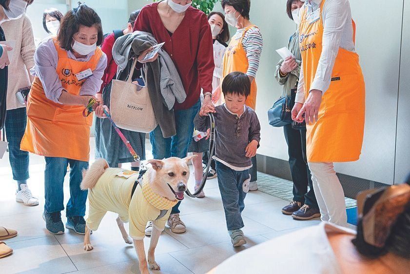 外来棟の玄関内で行われる「慈恵犬ふれあいセラピー」。子どもから大人まで多くの外来患者さんが集まります