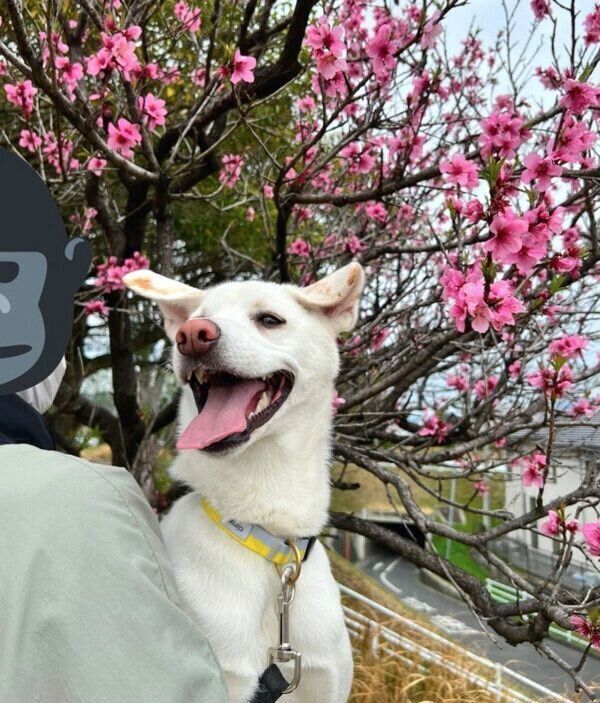 笑顔のこうめちゃん