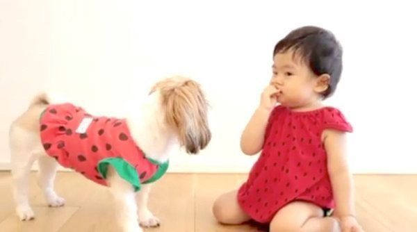 ブロッコリーを食べるシー・ズーと女の子