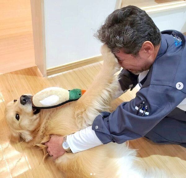 パパさんの帰宅を歓迎するアランくん