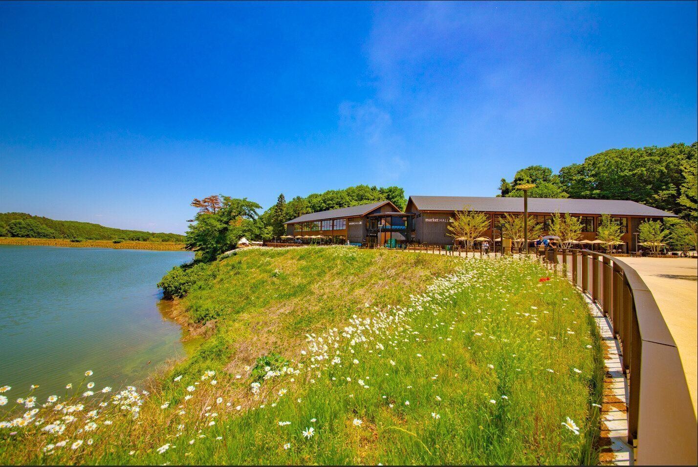 メッツァビレッジ