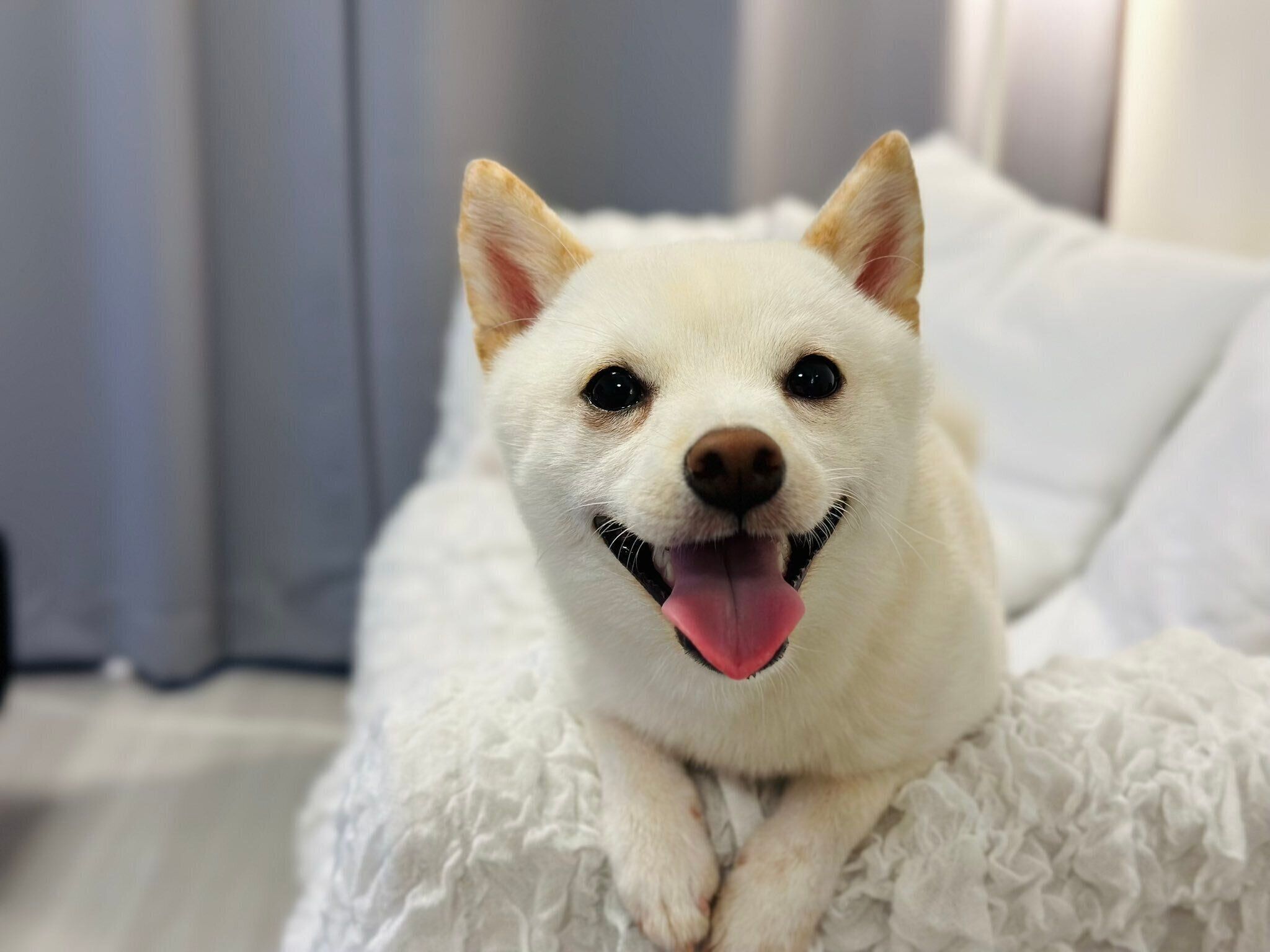 まったりするひばりくん