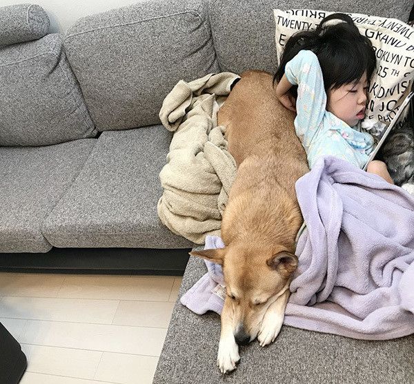 寄り添う子どもと犬